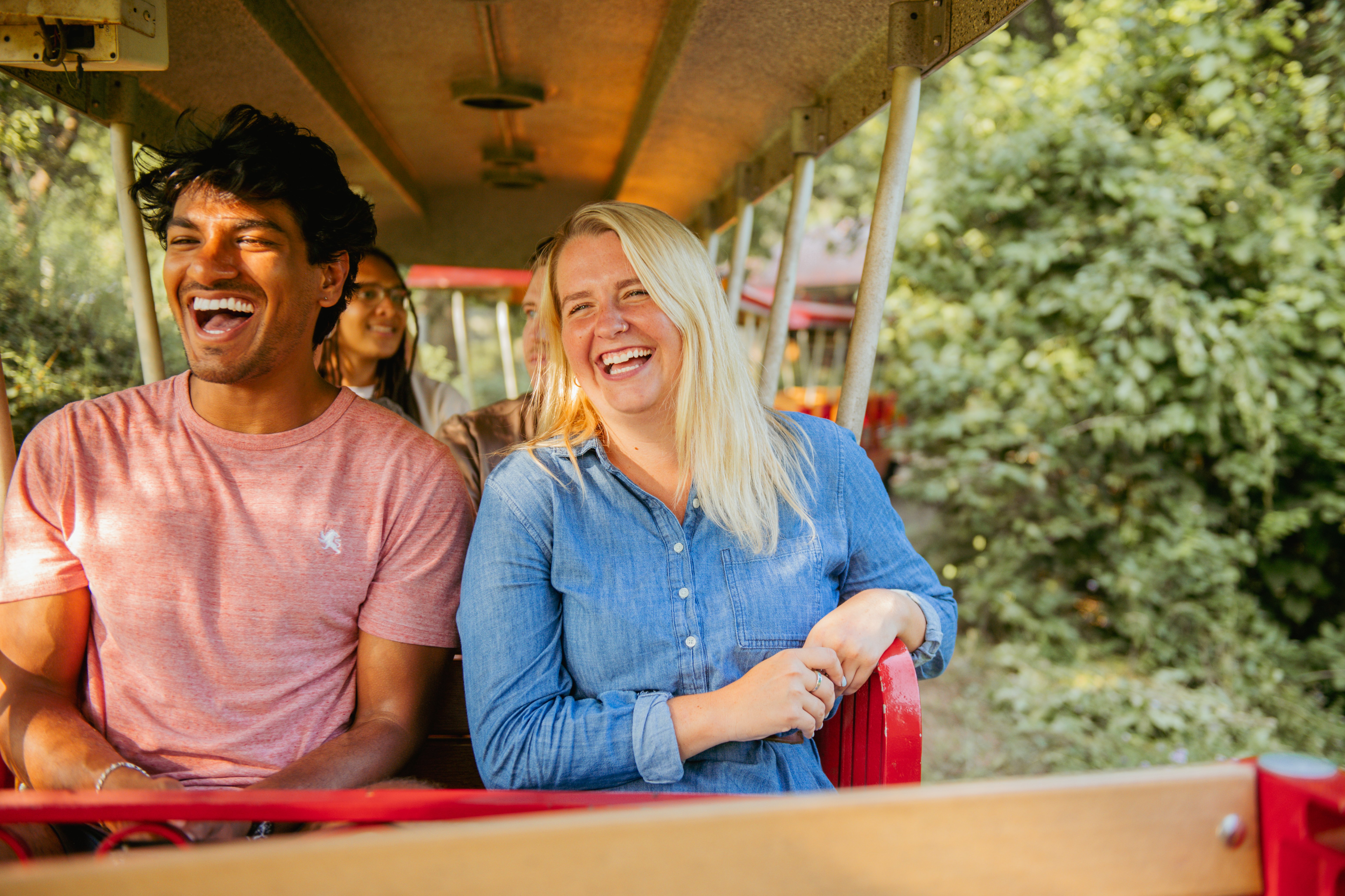guests riding train